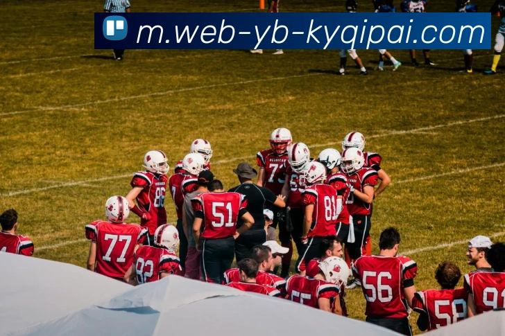 开元棋牌平台生态图