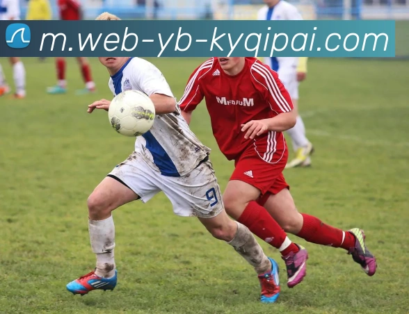 开元棋牌APP 封面图